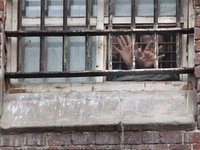 Брянские заключенные снова сообщают об избиениях: 13 человек объявили голодовку, несколько вскрылось